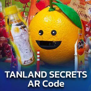 TANLAND SECRETS AR Code 2